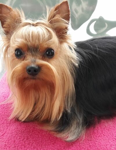 36563814_912377435632132_9204640898497904640_n