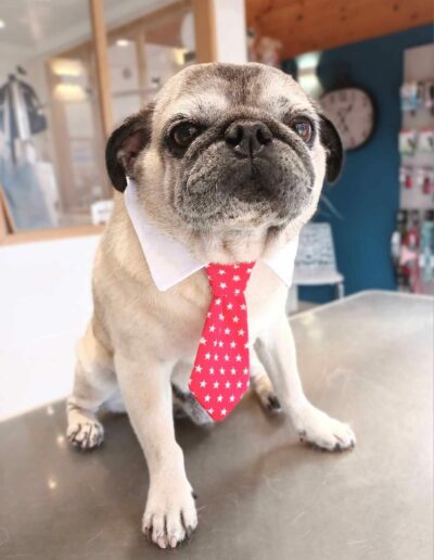 487507019_1191710442958903_3014296681485547401_n