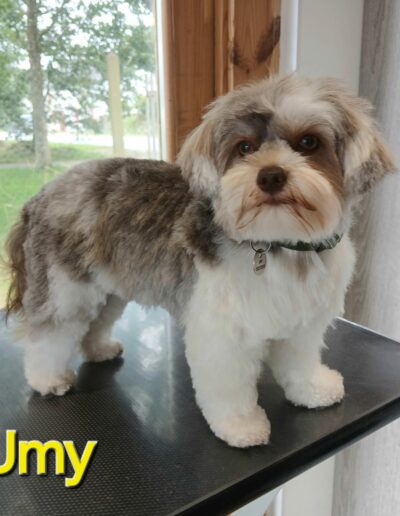 491760177_1210943904368890_530162677065983951_n