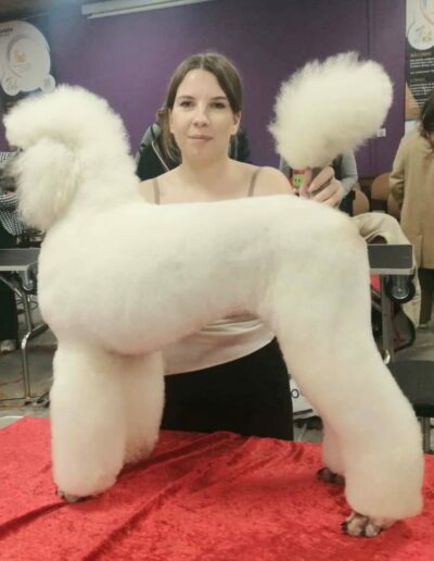 491957824_1220056503457630_171934447169821870_n