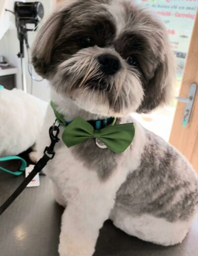 494130545_1219648446831769_2060381110766486372_n