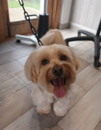 494616861_1224531436343470_1162637690871007578_n