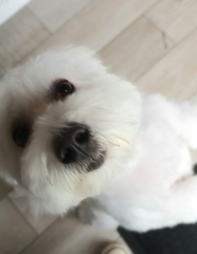 495156826_1224531463010134_5413859081908238425_n