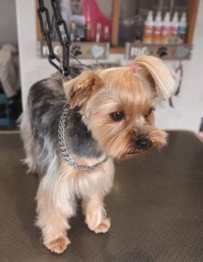 495178626_1224531443010136_7158740861533095064_n