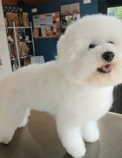 500446495_1245809017549045_115290562777189425_n