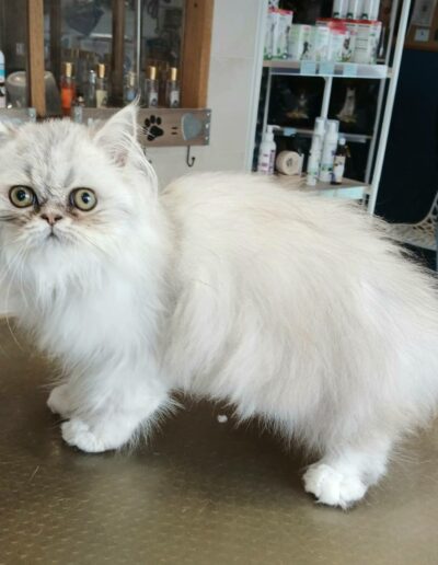 542041431_1332311762232103_6952553959171881026_n