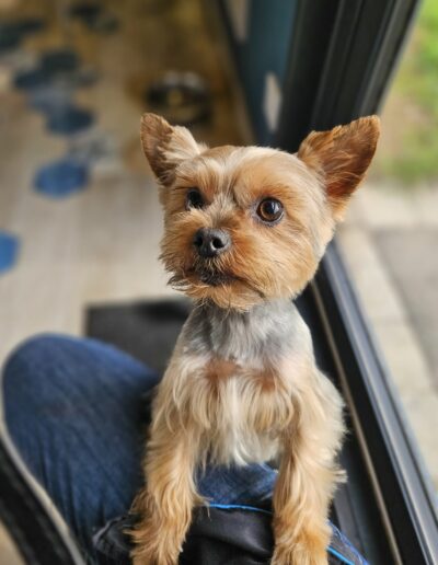 547653456_1344611031002176_2702402367876709192_n